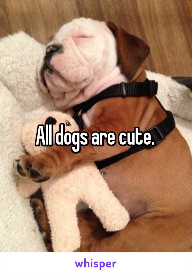 All dogs are cute. 