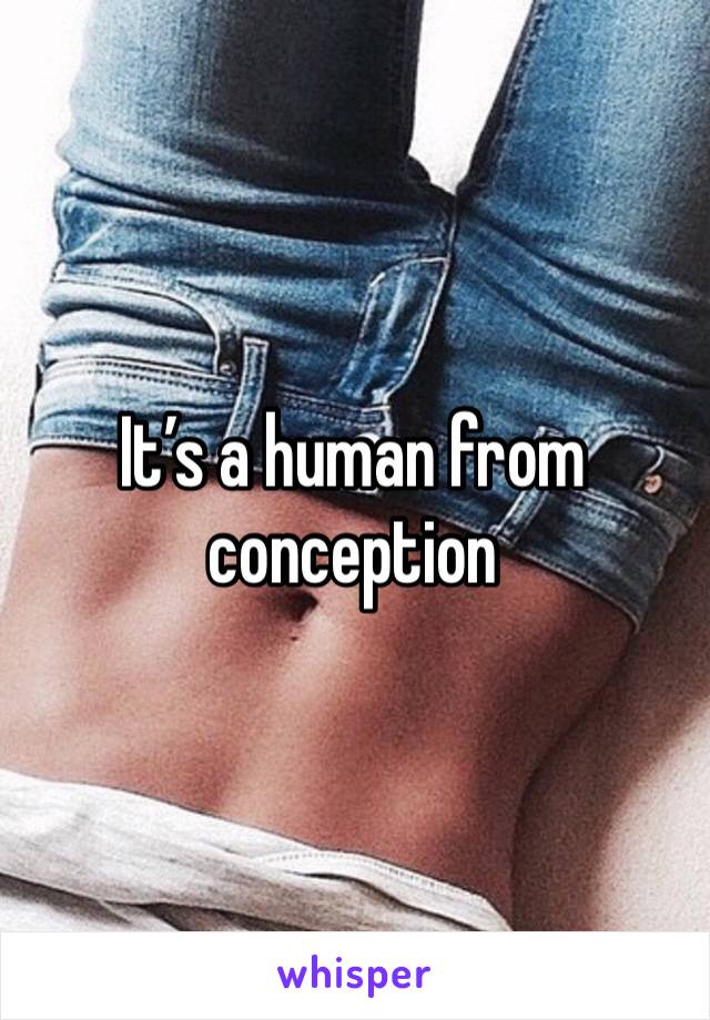 It’s a human from conception 