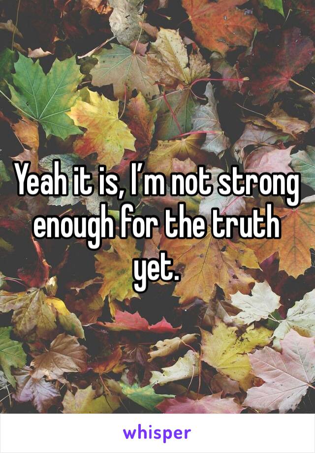 Yeah it is, I’m not strong enough for the truth yet. 
