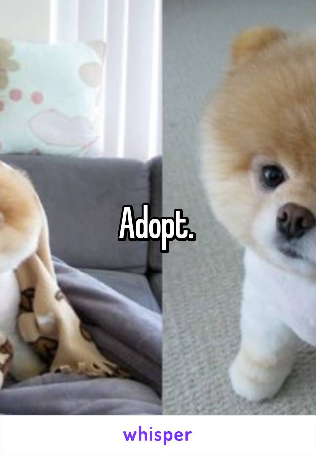 Adopt. 