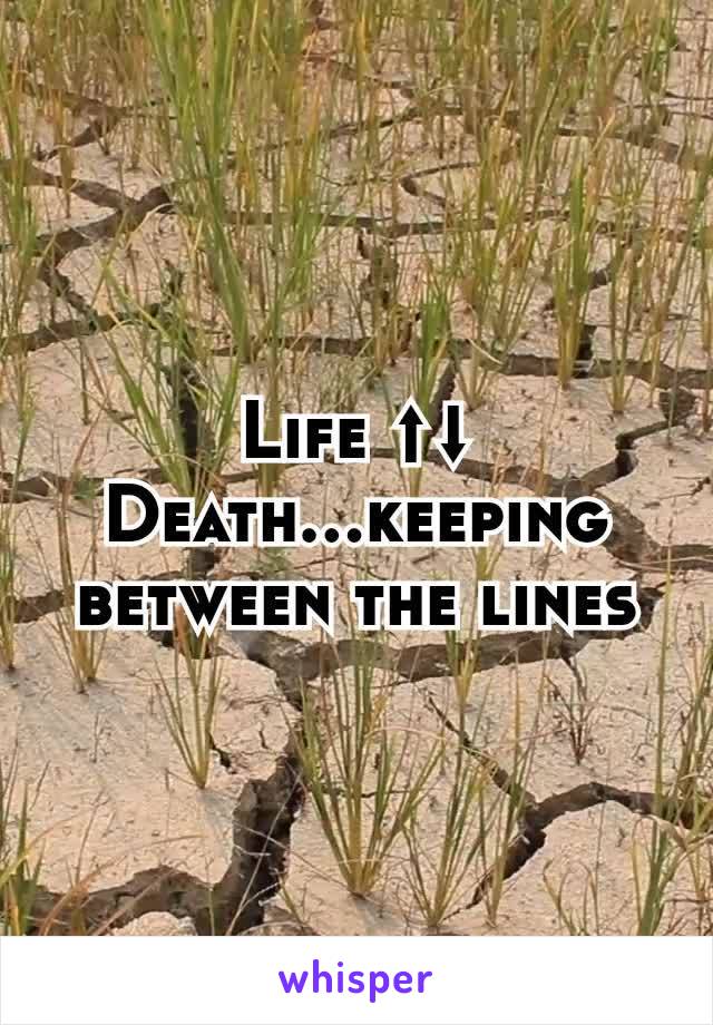 Life ⬆⬇ Death...keeping between the lines