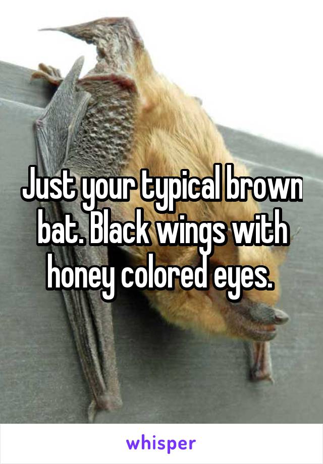 Just your typical brown bat. Black wings with honey colored eyes. 
