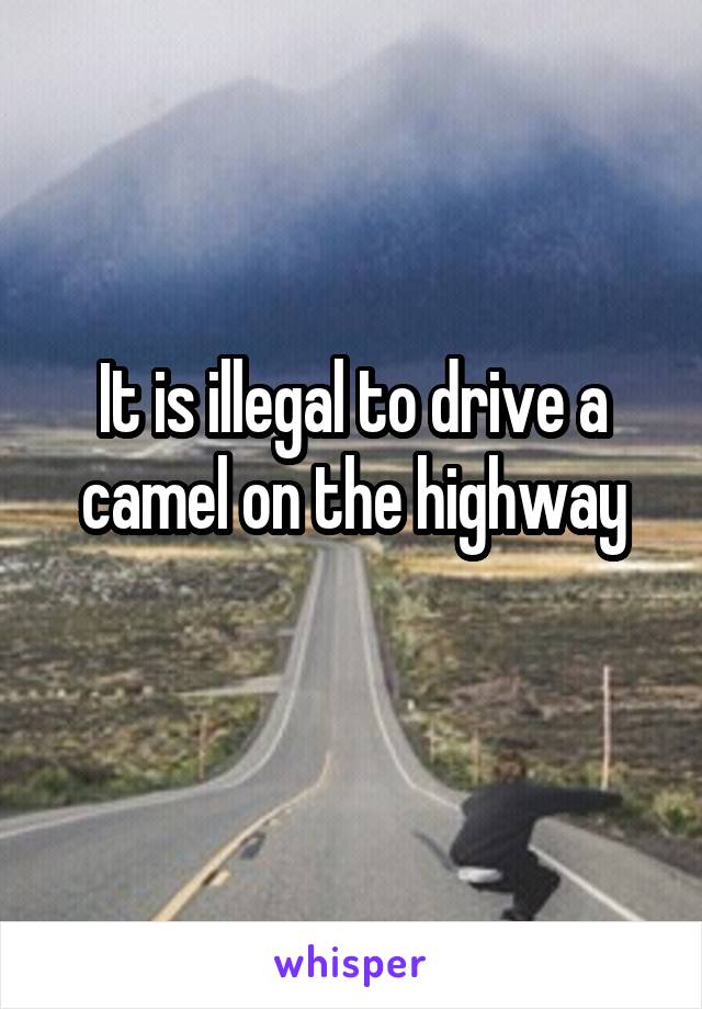 
It is illegal to drive a camel on the highway

