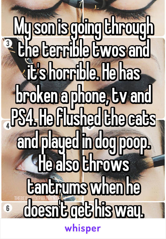 My son is going through the terrible twos and it's horrible. He has broken a phone, tv and PS4. He flushed the cats and played in dog poop. He also throws tantrums when he doesn't get his way.