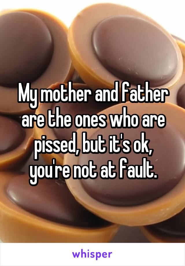 My mother and father are the ones who are pissed, but it's ok, you're not at fault.