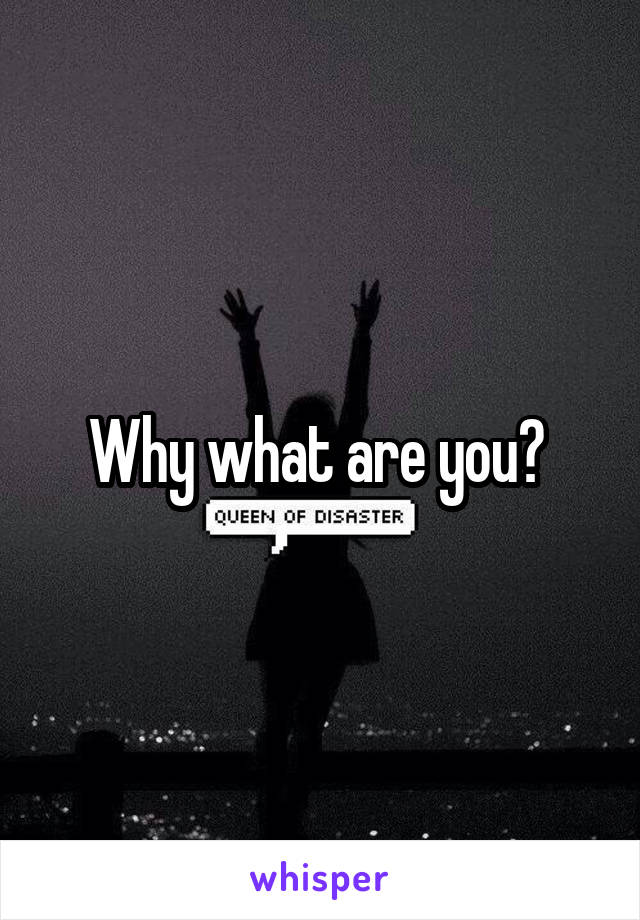 Why what are you? 