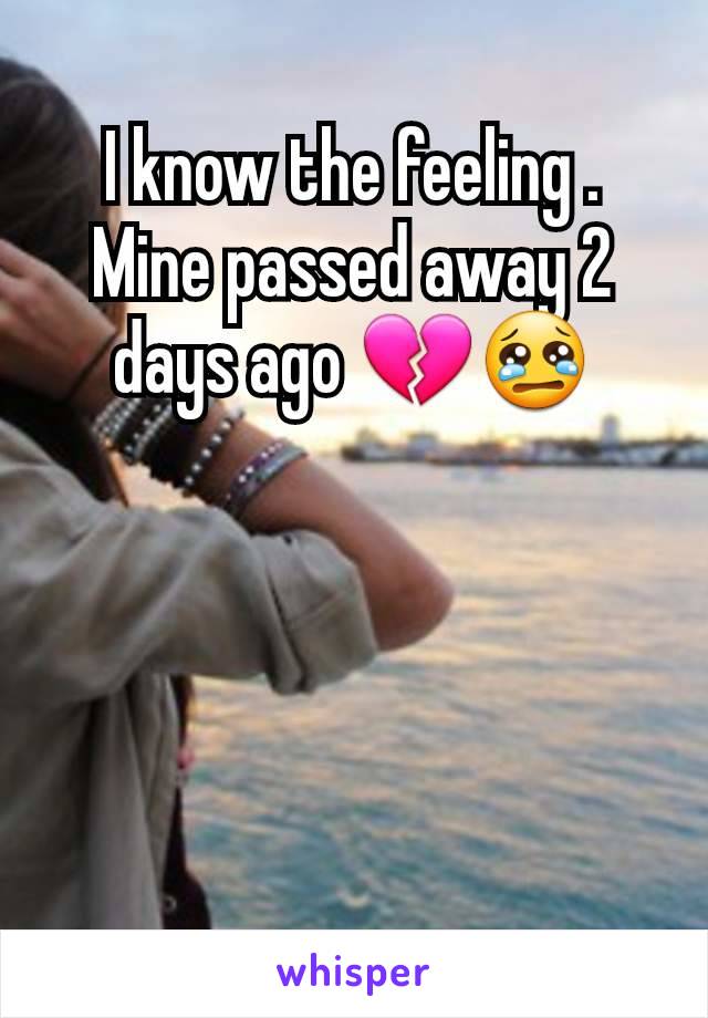 I know the feeling . Mine passed away 2 days ago 💔😢