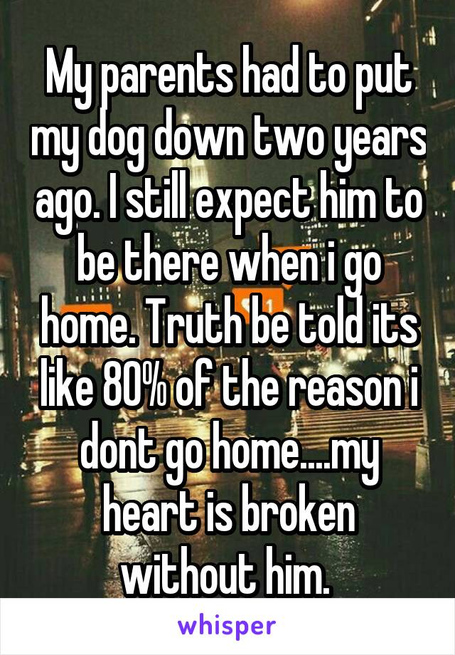 My parents had to put my dog down two years ago. I still expect him to be there when i go home. Truth be told its like 80% of the reason i dont go home....my heart is broken without him. 