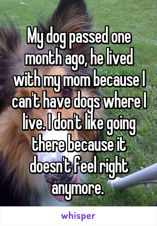 My dog passed one month ago, he lived with my mom because I can't have dogs where I live. I don't like going there because it doesn't feel right anymore. 