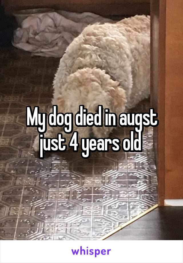 My dog died in augst just 4 years old 