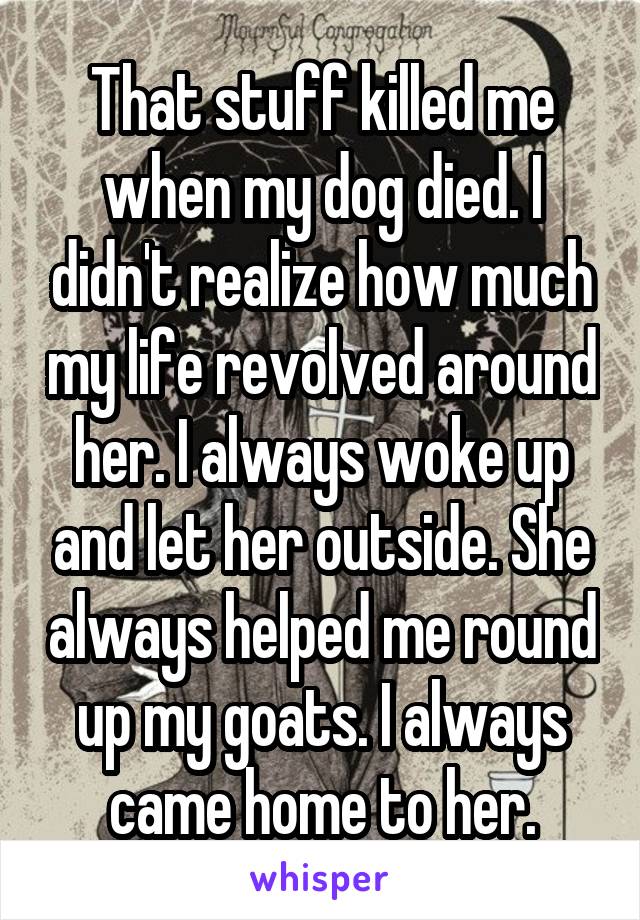 That stuff killed me when my dog died. I didn't realize how much my life revolved around her. I always woke up and let her outside. She always helped me round up my goats. I always came home to her.