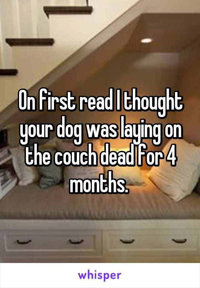 On first read I thought your dog was laying on the couch dead for 4 months. 