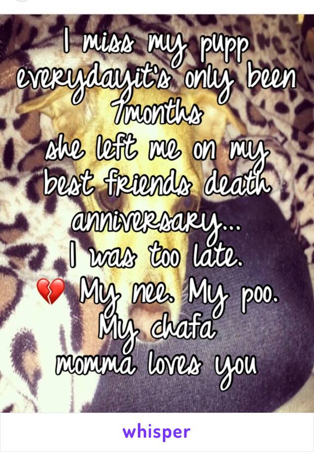 I miss my pupp everydayit’s only been 7months 
she left me on my 
best friends death anniversary... 
I was too late.
💔 My nee. My poo. 
My chafa  
momma loves you