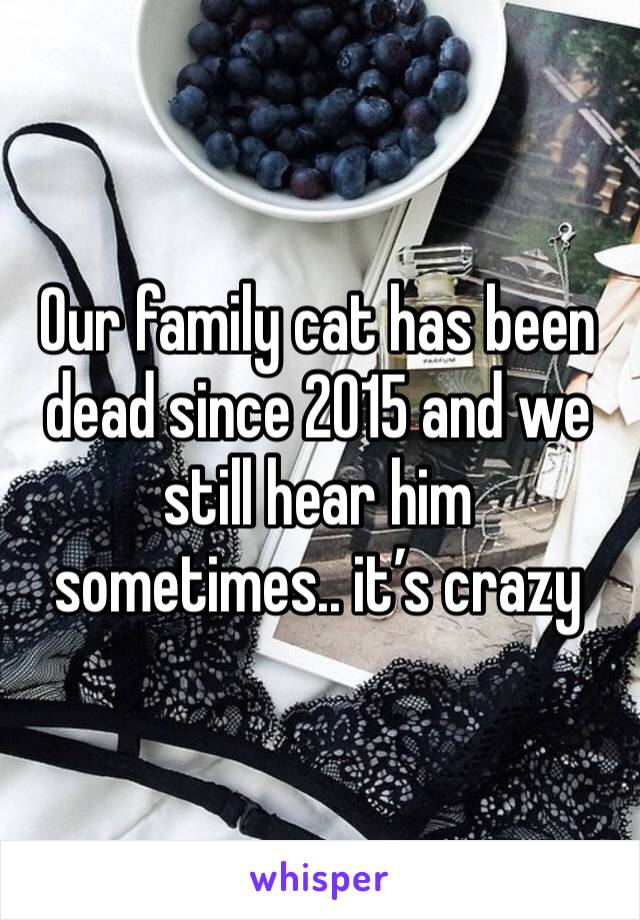 Our family cat has been dead since 2015 and we still hear him sometimes.. it’s crazy