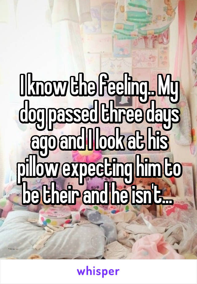 I know the feeling.. My dog passed three days ago and I look at his pillow expecting him to be their and he isn't... 