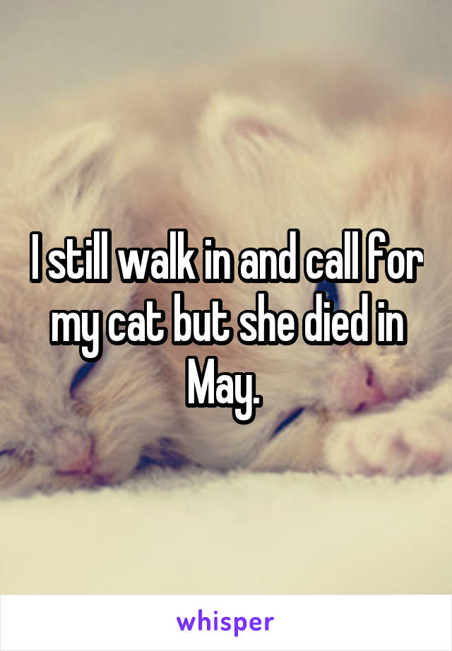 I still walk in and call for my cat but she died in May. 