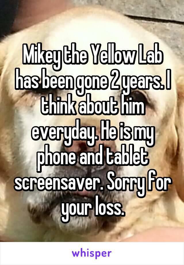 Mikey the Yellow Lab has been gone 2 years. I think about him everyday. He is my phone and tablet screensaver. Sorry for your loss.