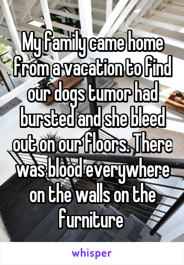 My family came home from a vacation to find our dogs tumor had bursted and she bleed out on our floors. There was blood everywhere on the walls on the furniture 