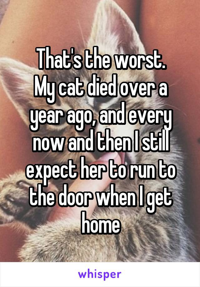 That's the worst.
My cat died over a year ago, and every now and then I still expect her to run to the door when I get home