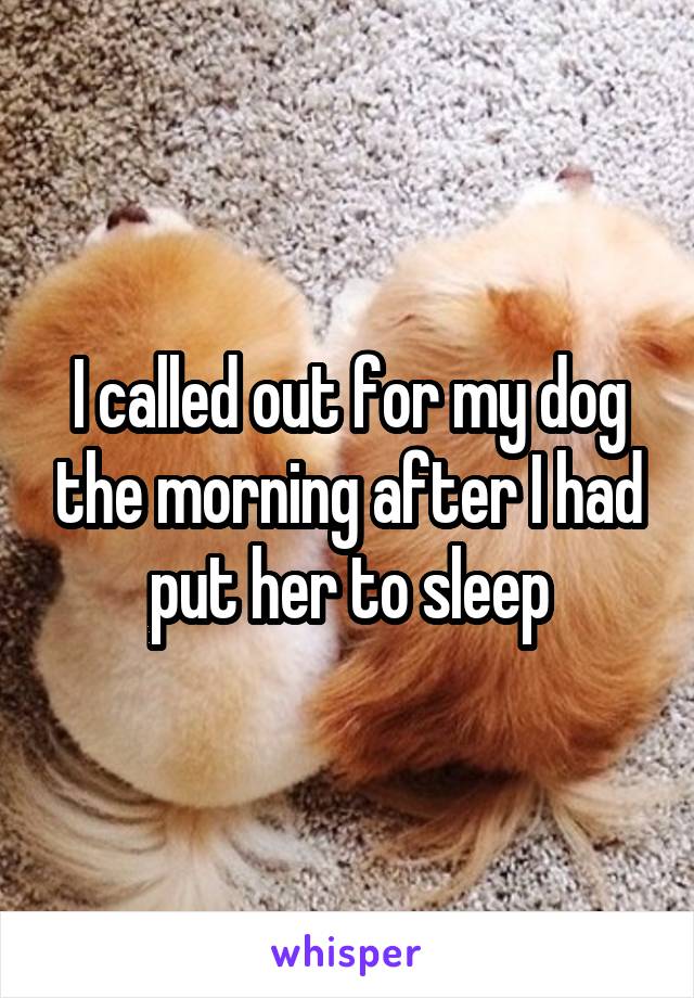 I called out for my dog the morning after I had put her to sleep