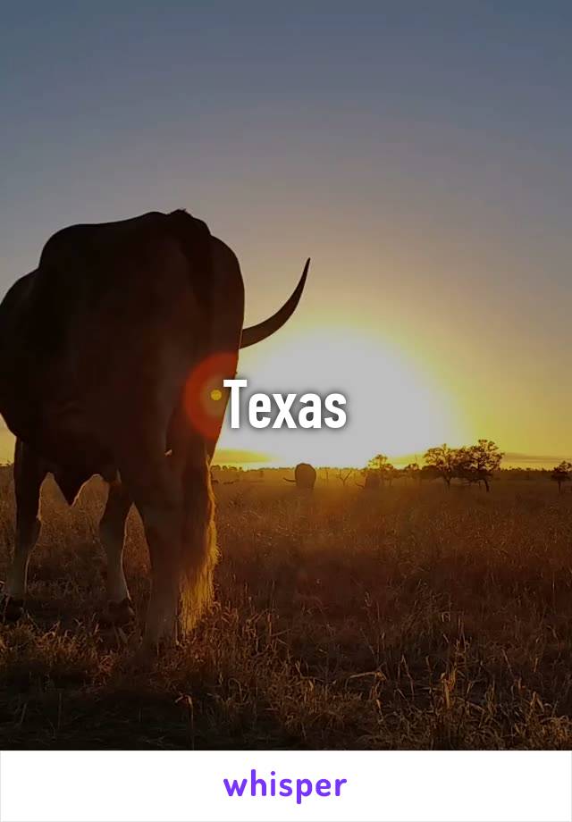 Texas