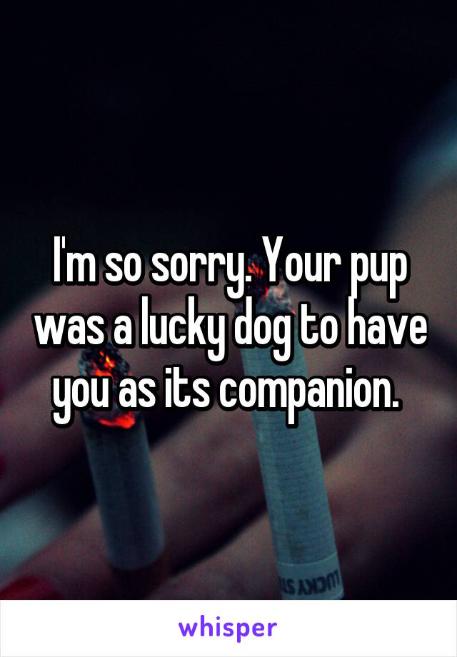 I'm so sorry. Your pup was a lucky dog to have you as its companion. 