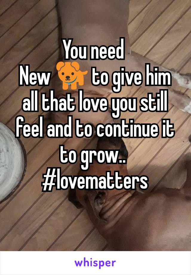 You need 
New 🐕 to give him all that love you still feel and to continue it to grow.. 
#lovematters
 