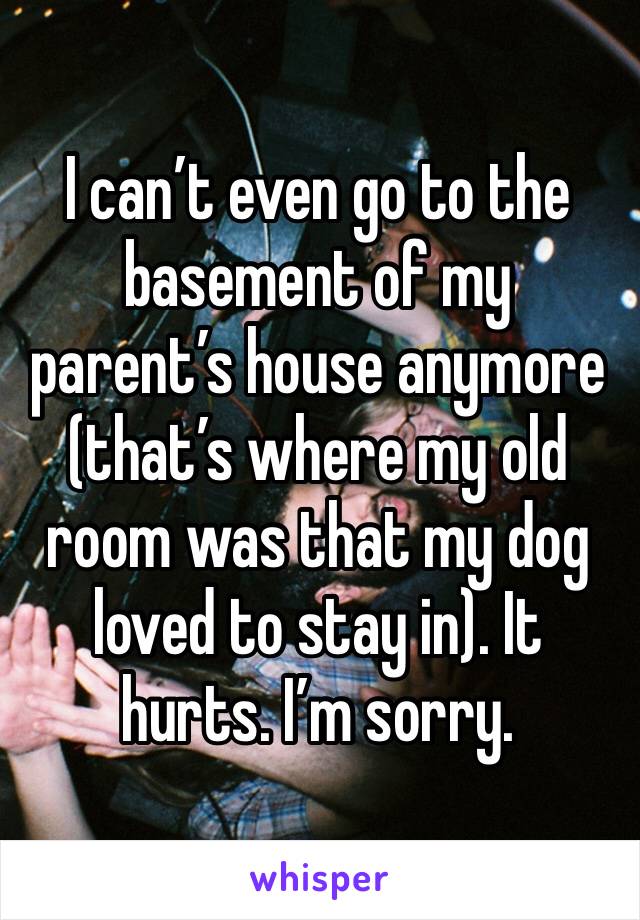 I can’t even go to the basement of my parent’s house anymore (that’s where my old room was that my dog loved to stay in). It hurts. I’m sorry. 