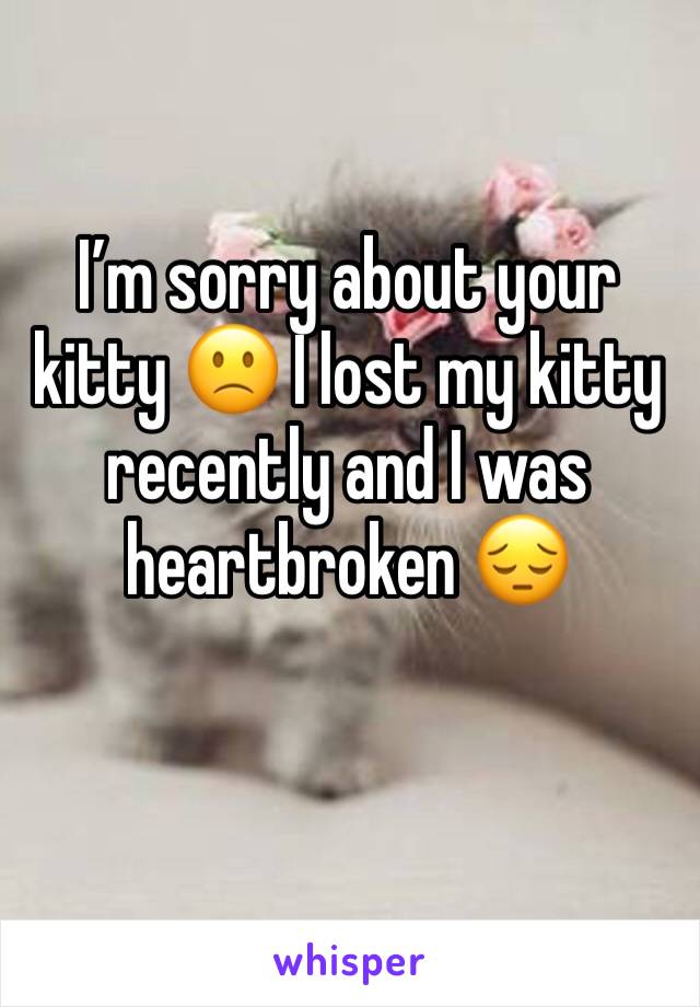 I’m sorry about your kitty 🙁 I lost my kitty recently and I was heartbroken 😔 