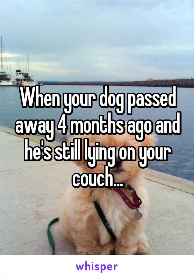 When your dog passed away 4 months ago and he's still lying on your couch...