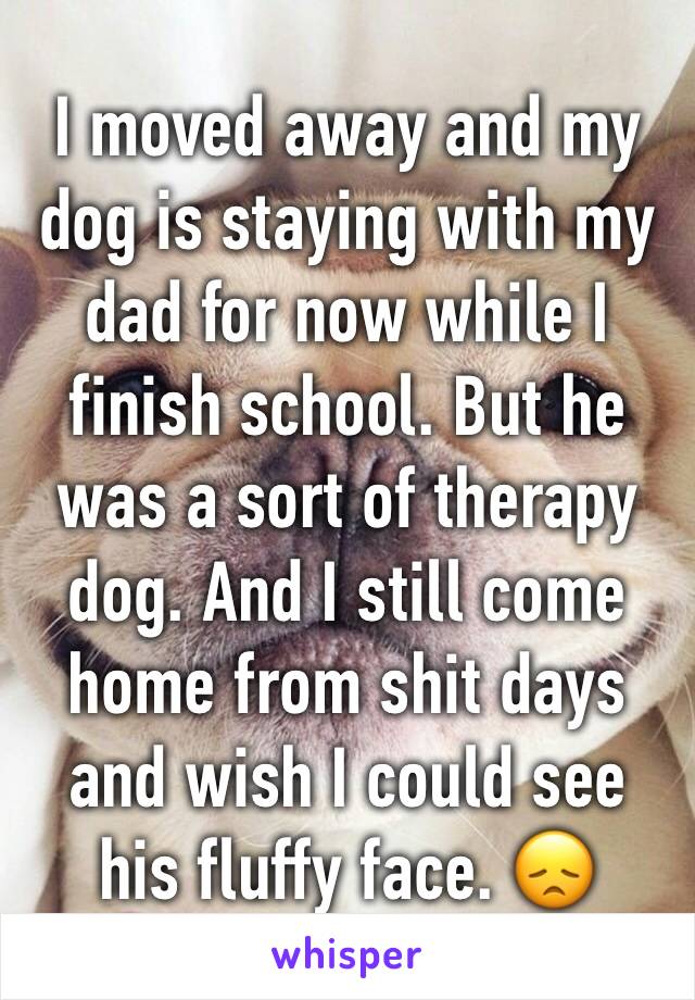 I moved away and my dog is staying with my dad for now while I finish school. But he was a sort of therapy dog. And I still come home from shit days and wish I could see his fluffy face. 😞