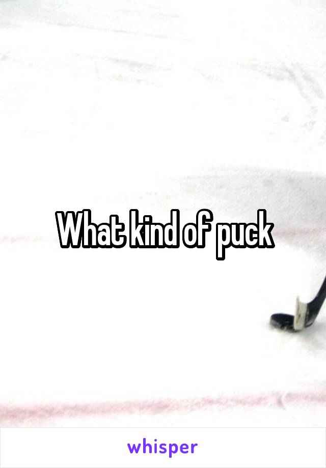 What kind of puck