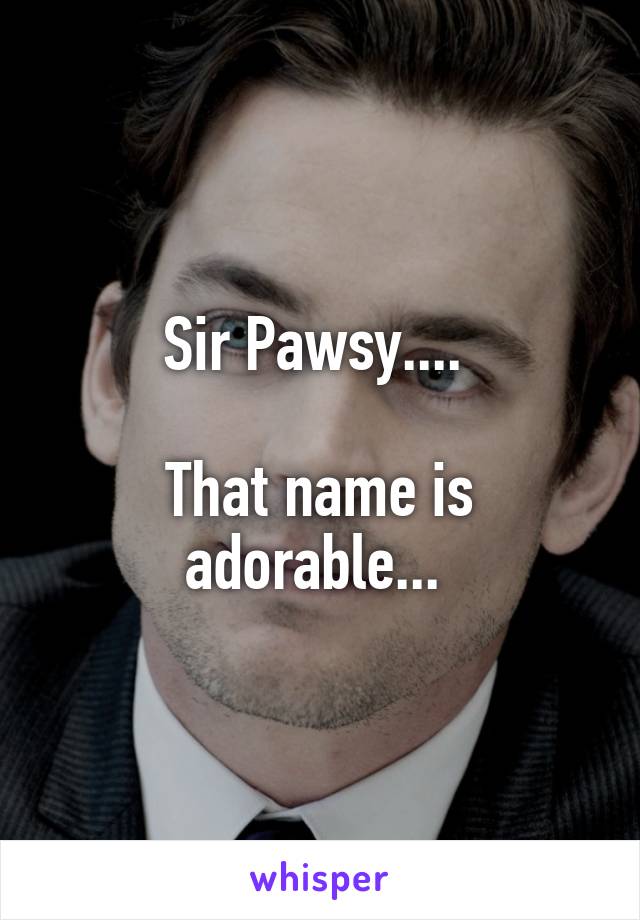 Sir Pawsy.... 

That name is adorable... 