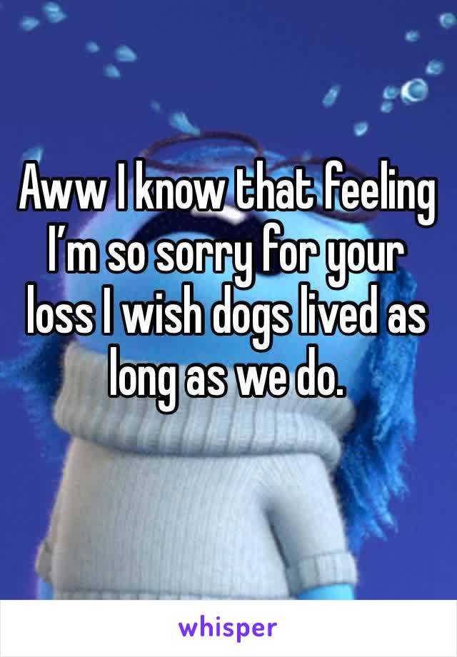 Aww I know that feeling I’m so sorry for your loss I wish dogs lived as long as we do.