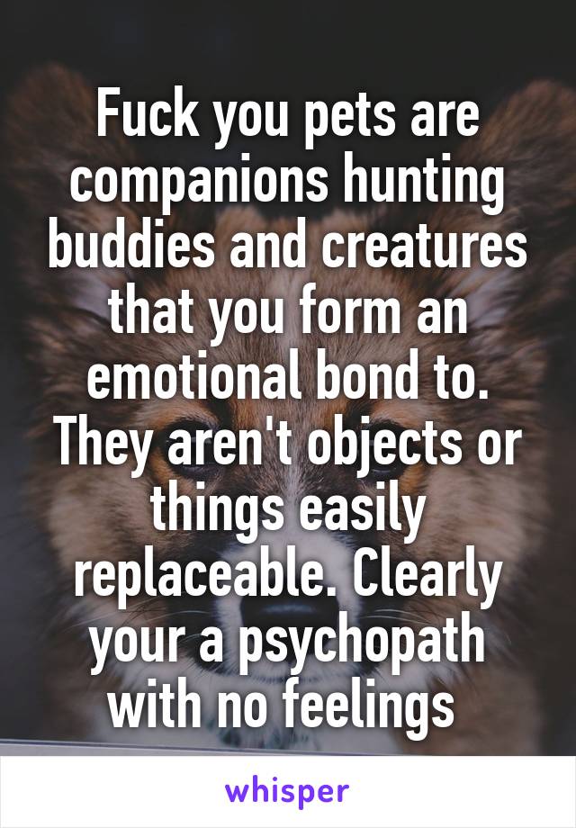 Fuck you pets are companions hunting buddies and creatures that you form an emotional bond to. They aren't objects or things easily replaceable. Clearly your a psychopath with no feelings 