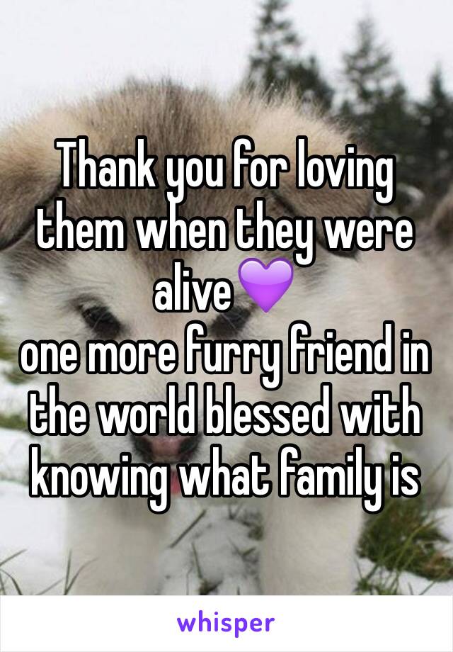 Thank you for loving them when they were alive💜 
one more furry friend in the world blessed with knowing what family is 