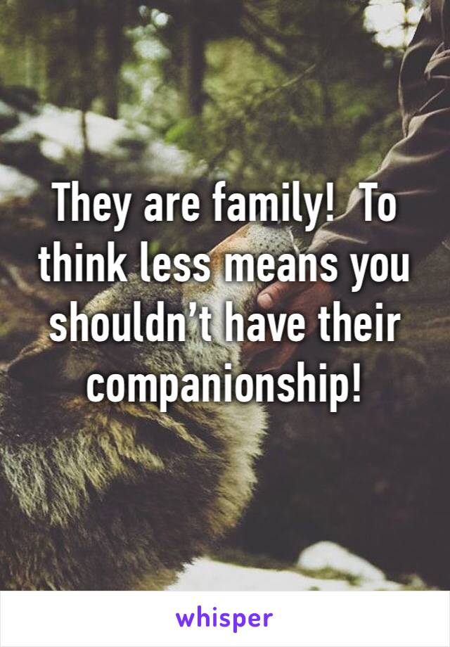 They are family!  To think less means you shouldn’t have their companionship!
