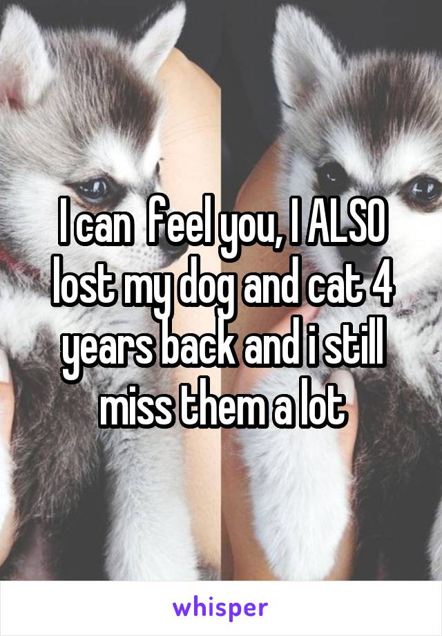 I can  feel you, I ALSO lost my dog and cat 4 years back and i still miss them a lot