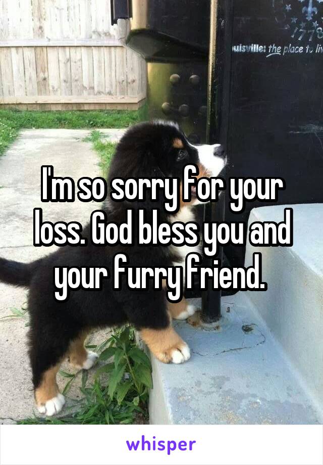 I'm so sorry for your loss. God bless you and your furry friend. 