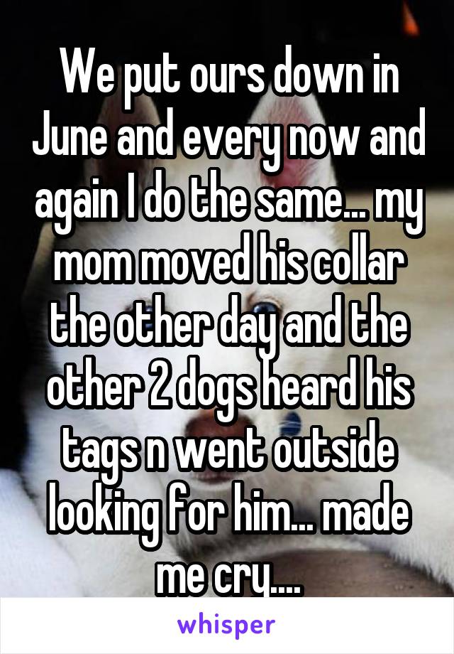 We put ours down in June and every now and again I do the same... my mom moved his collar the other day and the other 2 dogs heard his tags n went outside looking for him... made me cry....