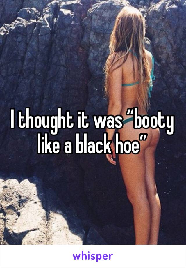 I thought it was “booty like a black hoe”