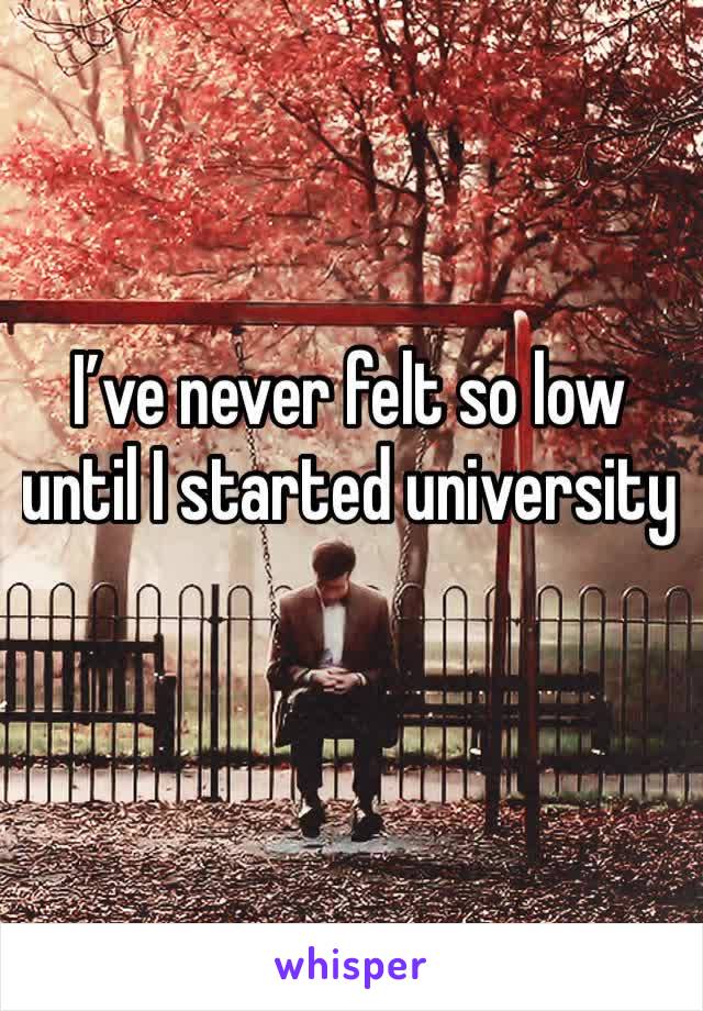 I’ve never felt so low until I started university