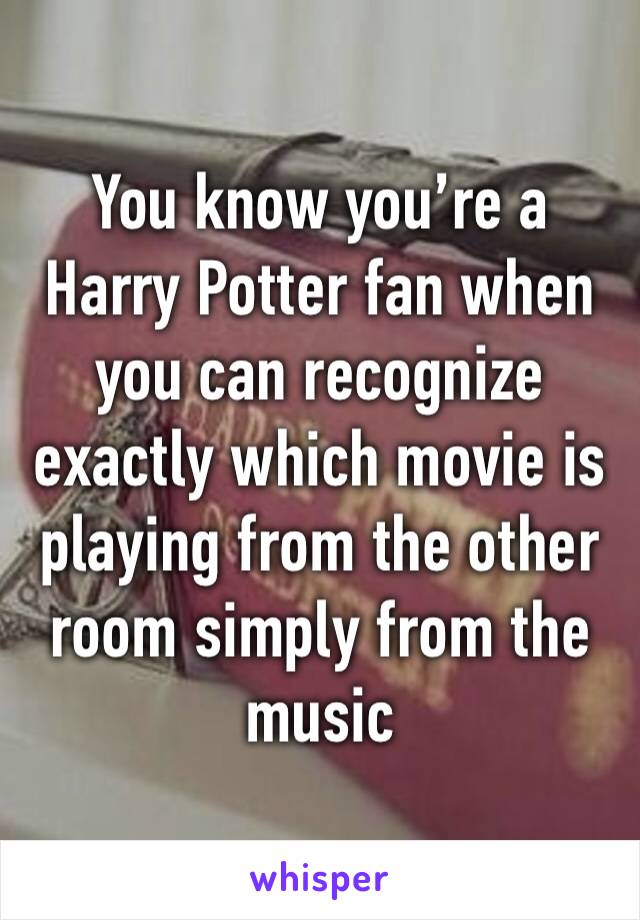 You know you’re a Harry Potter fan when you can recognize exactly which movie is playing from the other room simply from the music