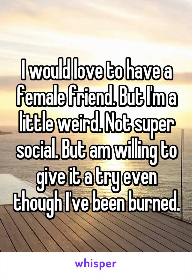 I would love to have a female friend. But I'm a little weird. Not super social. But am willing to give it a try even though I've been burned.