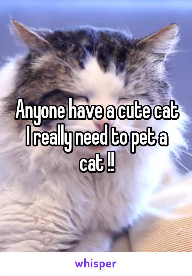 Anyone have a cute cat I really need to pet a cat !!