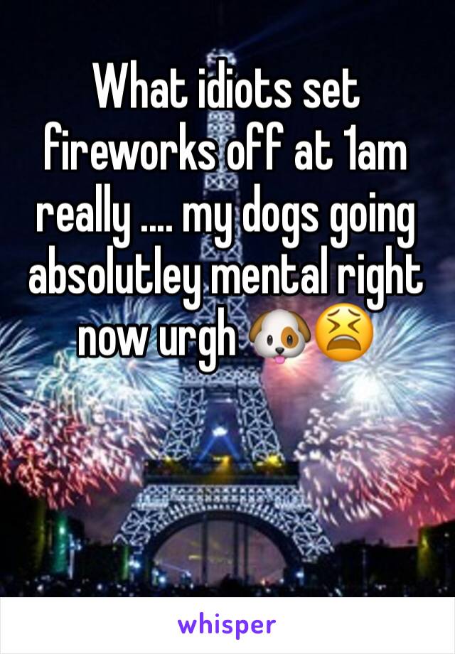 What idiots set fireworks off at 1am really .... my dogs going absolutley mental right now urgh 🐶😫