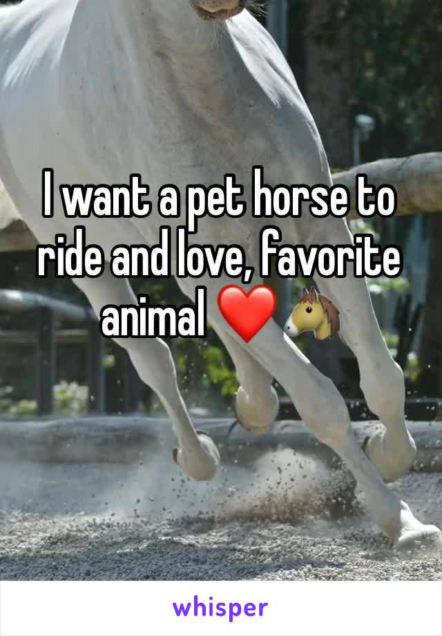 I want a pet horse to ride and love, favorite animal ❤️🐴