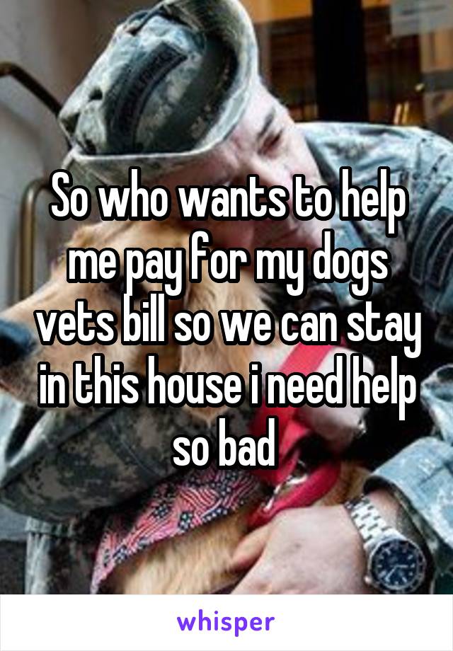 So who wants to help me pay for my dogs vets bill so we can stay in this house i need help so bad 