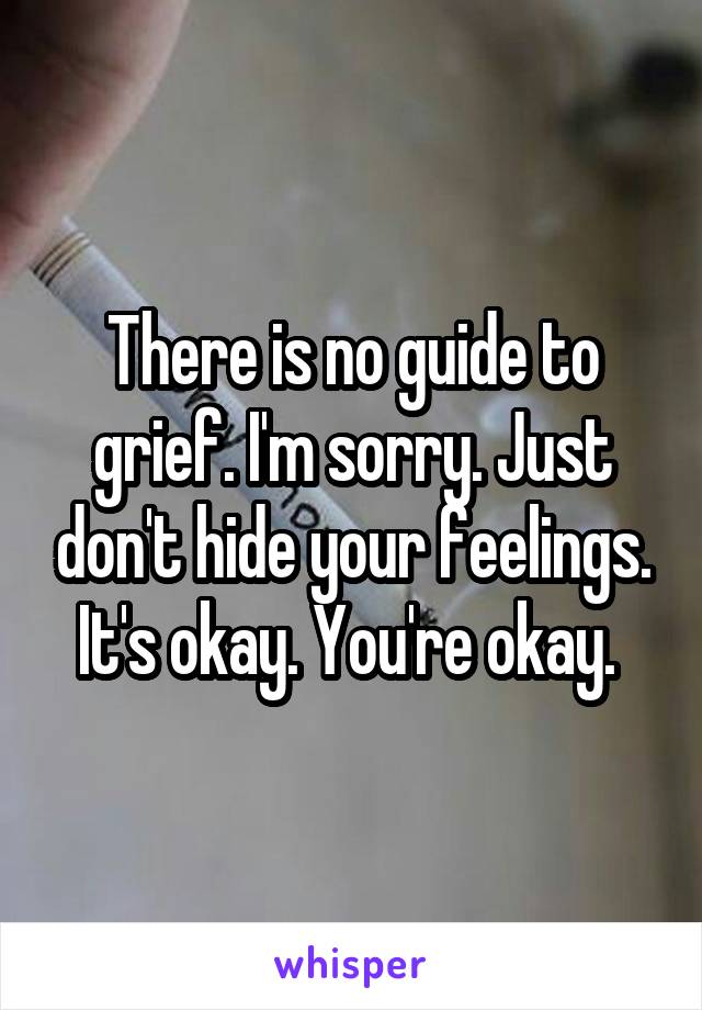 There is no guide to grief. I'm sorry. Just don't hide your feelings. It's okay. You're okay. 