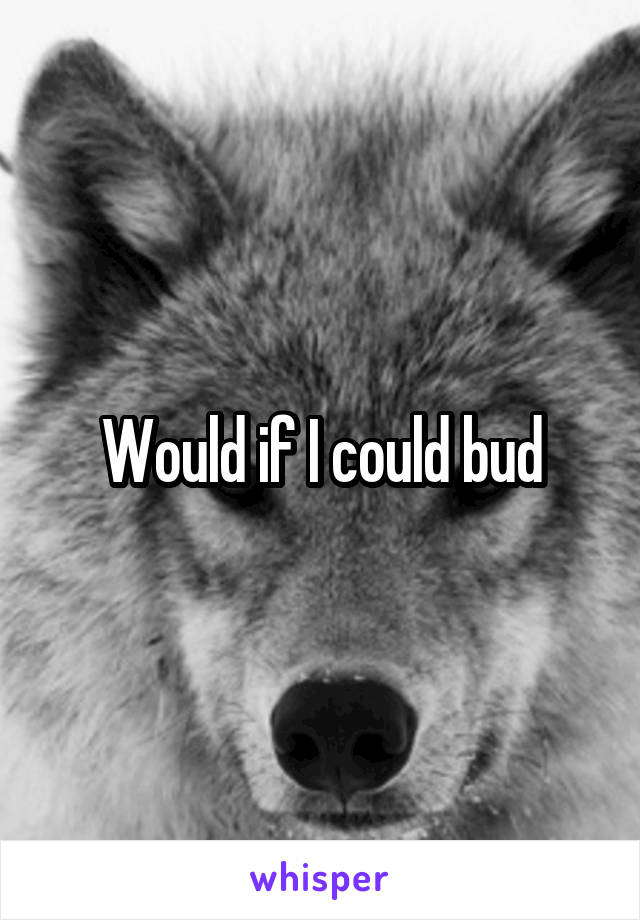 Would if I could bud